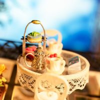 Pet Club DIY Miniature dollhouse kit