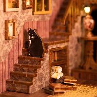 Scholar’s ​​dream DIY Book Nook Kit